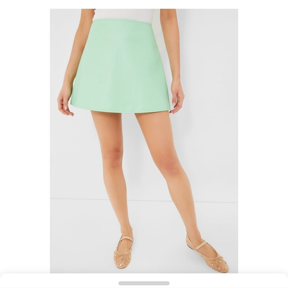 Tuckernuck Mint Chip Leather Mini Green Skirt Last One Small
